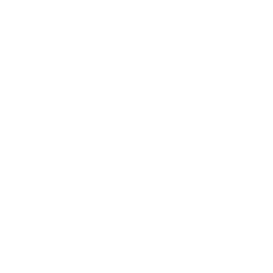 Tesla Store